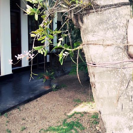 Serene Niche มิริสซา ภายนอก รูปภาพ