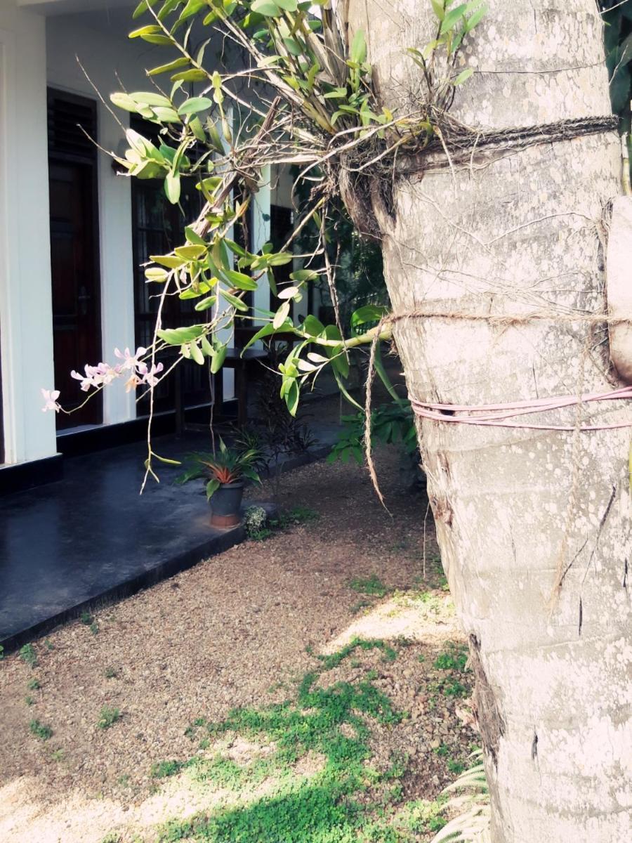 Serene Niche มิริสซา ภายนอก รูปภาพ